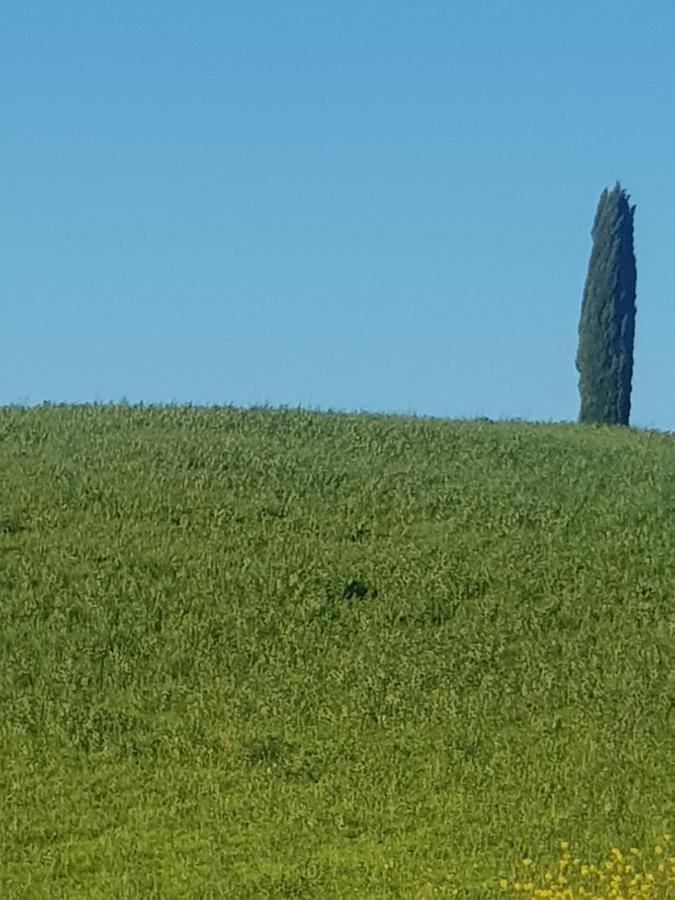 شقة Casa Per L'Osticcio Vista Sulla Val D'Orcia مونتالشينو المظهر الخارجي الصورة