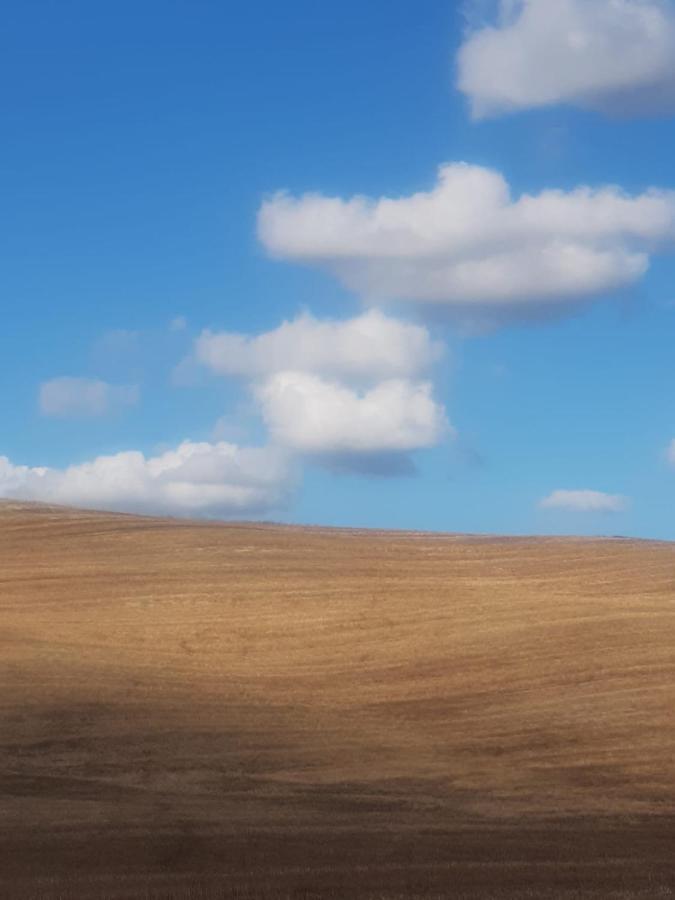 شقة Casa Per L'Osticcio Vista Sulla Val D'Orcia مونتالشينو المظهر الخارجي الصورة