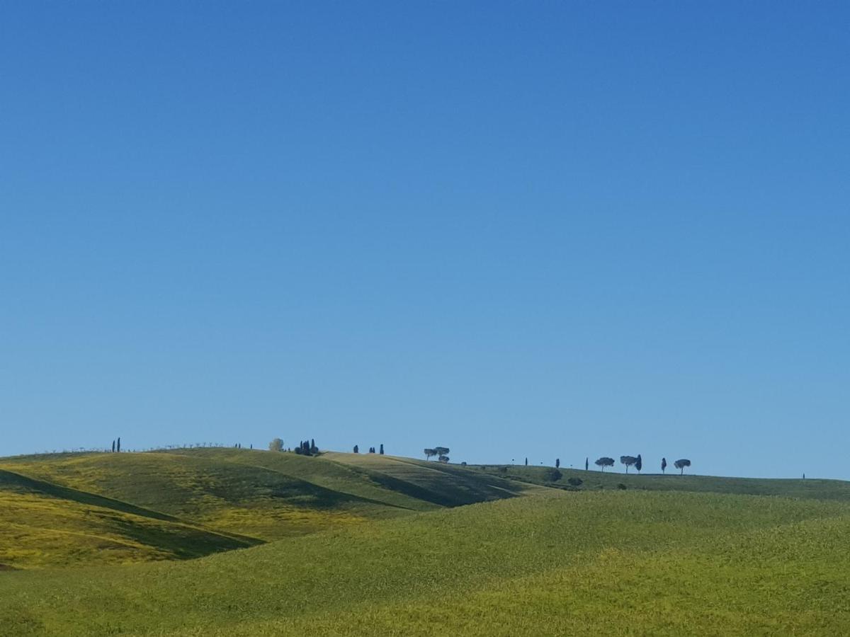 شقة Casa Per L'Osticcio Vista Sulla Val D'Orcia مونتالشينو المظهر الخارجي الصورة