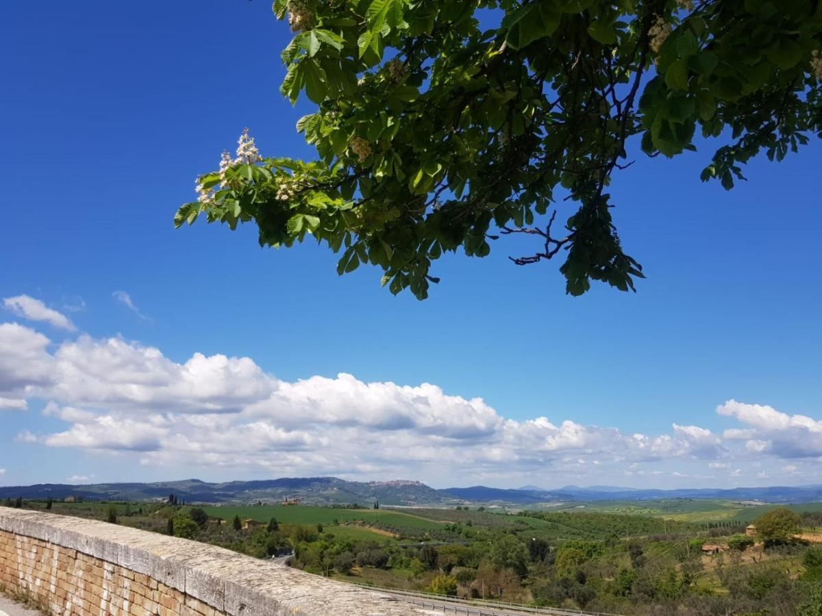 شقة Casa Per L'Osticcio Vista Sulla Val D'Orcia مونتالشينو المظهر الخارجي الصورة