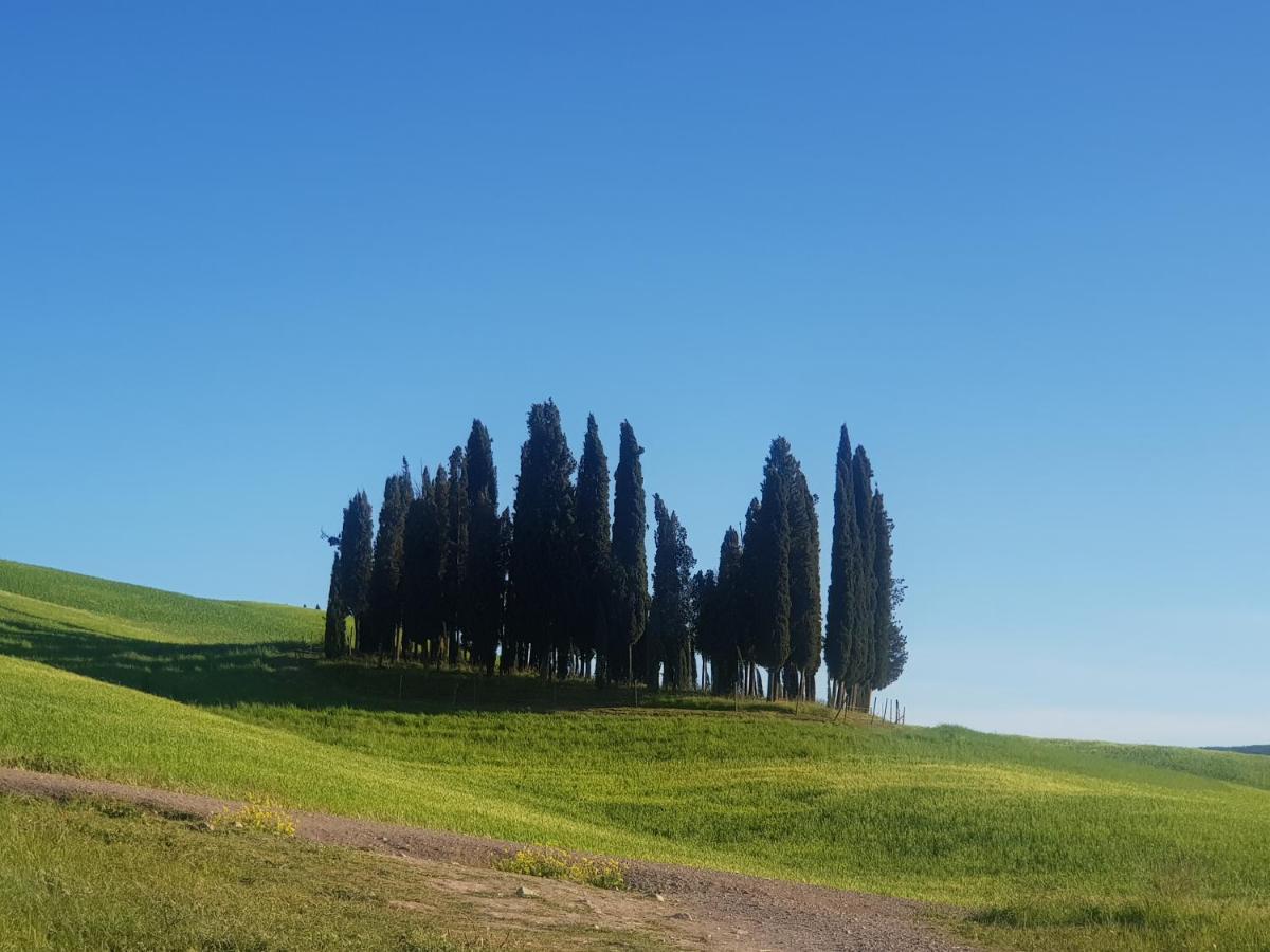 شقة Casa Per L'Osticcio Vista Sulla Val D'Orcia مونتالشينو المظهر الخارجي الصورة