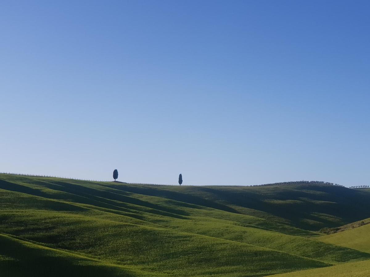 شقة Casa Per L'Osticcio Vista Sulla Val D'Orcia مونتالشينو المظهر الخارجي الصورة