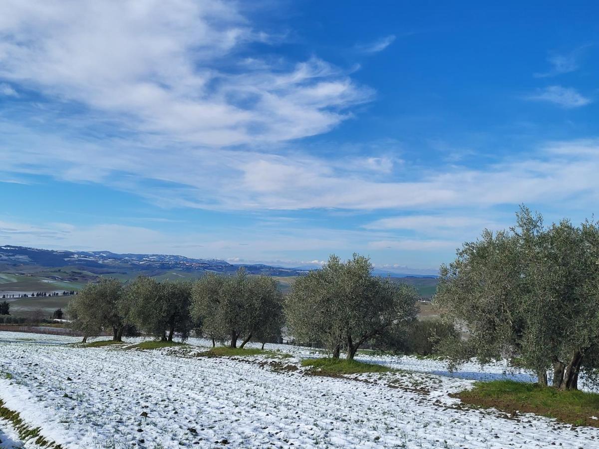 شقة Casa Per L'Osticcio Vista Sulla Val D'Orcia مونتالشينو المظهر الخارجي الصورة