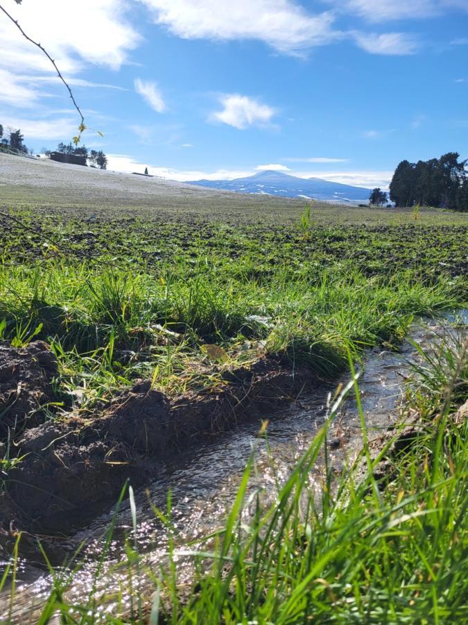 شقة Casa Per L'Osticcio Vista Sulla Val D'Orcia مونتالشينو المظهر الخارجي الصورة