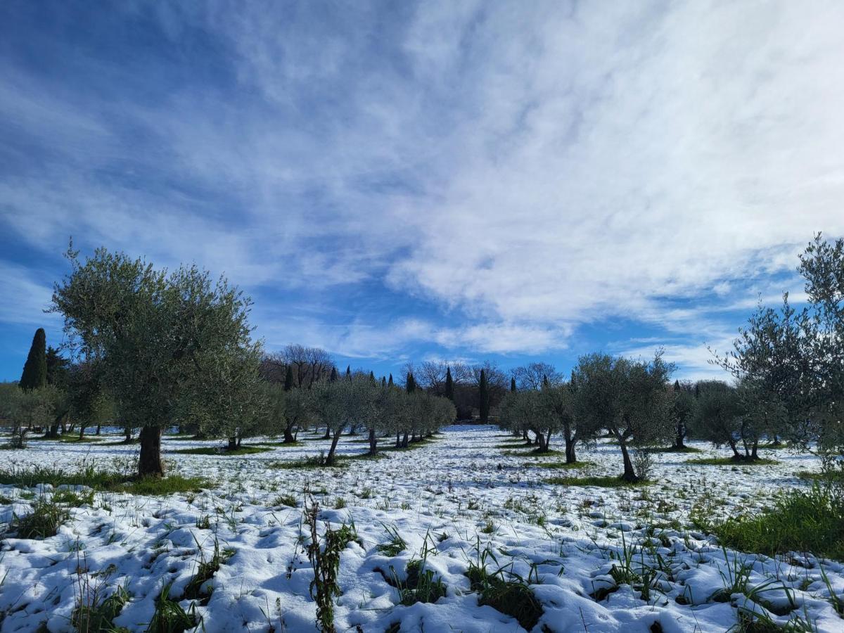 شقة Casa Per L'Osticcio Vista Sulla Val D'Orcia مونتالشينو المظهر الخارجي الصورة