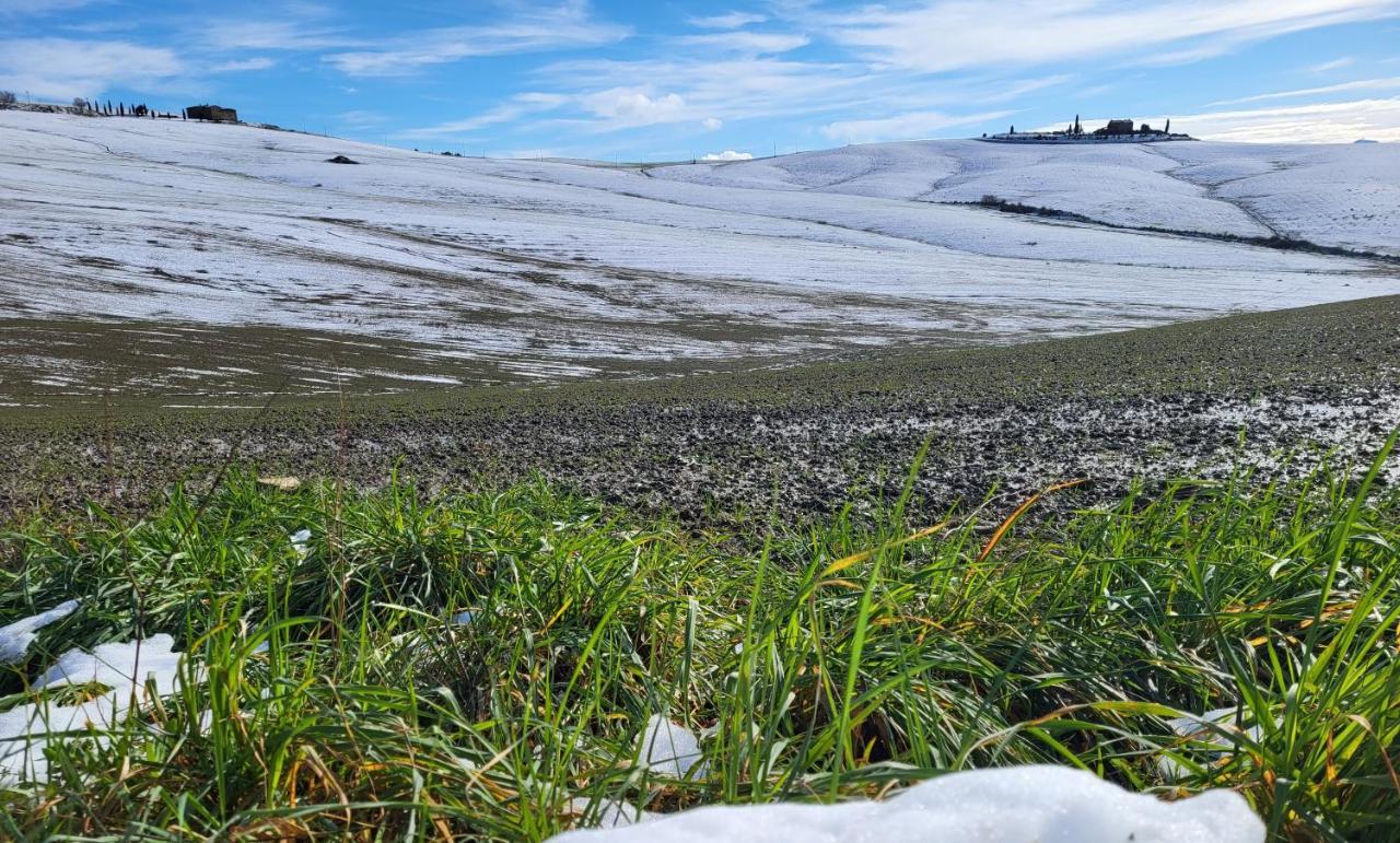 شقة Casa Per L'Osticcio Vista Sulla Val D'Orcia مونتالشينو المظهر الخارجي الصورة