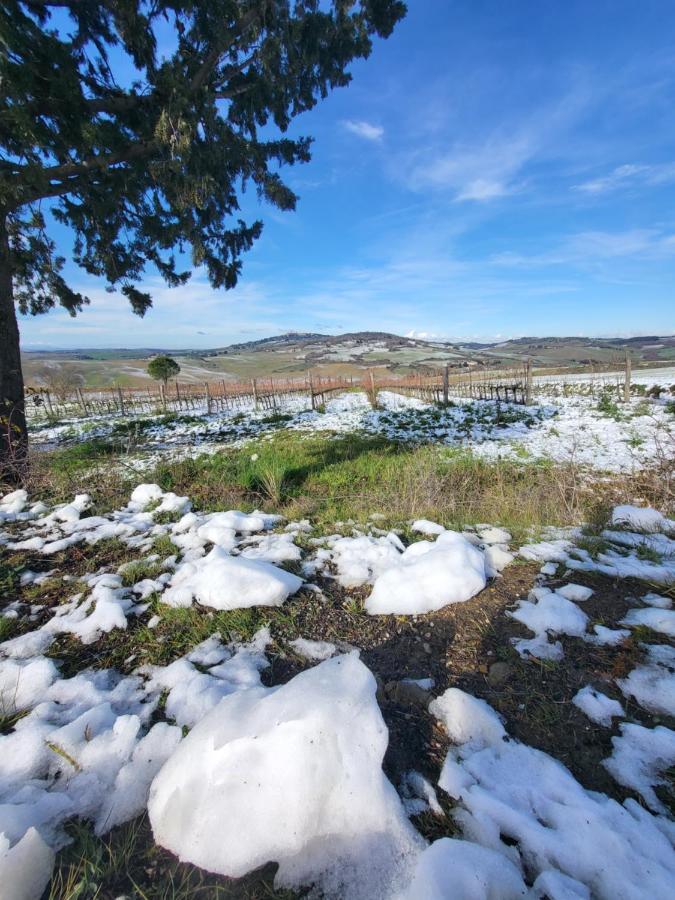 شقة Casa Per L'Osticcio Vista Sulla Val D'Orcia مونتالشينو المظهر الخارجي الصورة